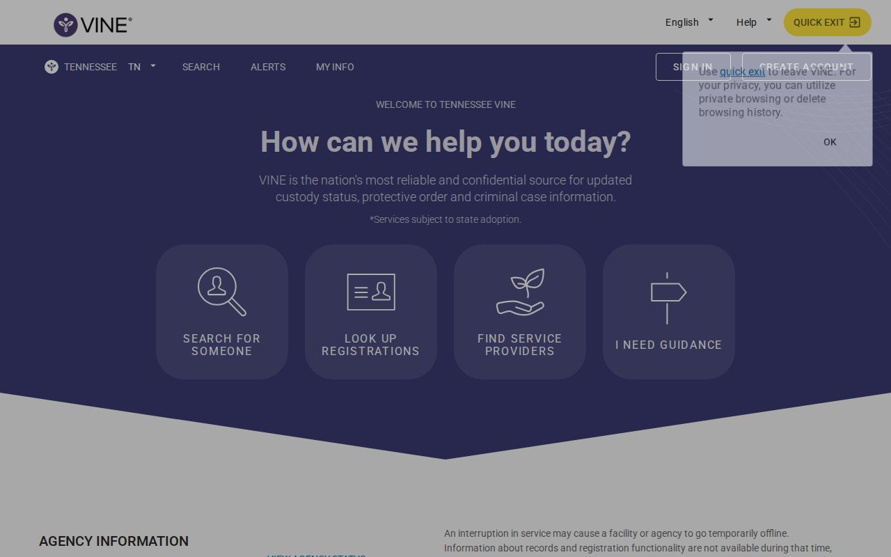 Tennessee VINELink screen for White County arrest custody checks
